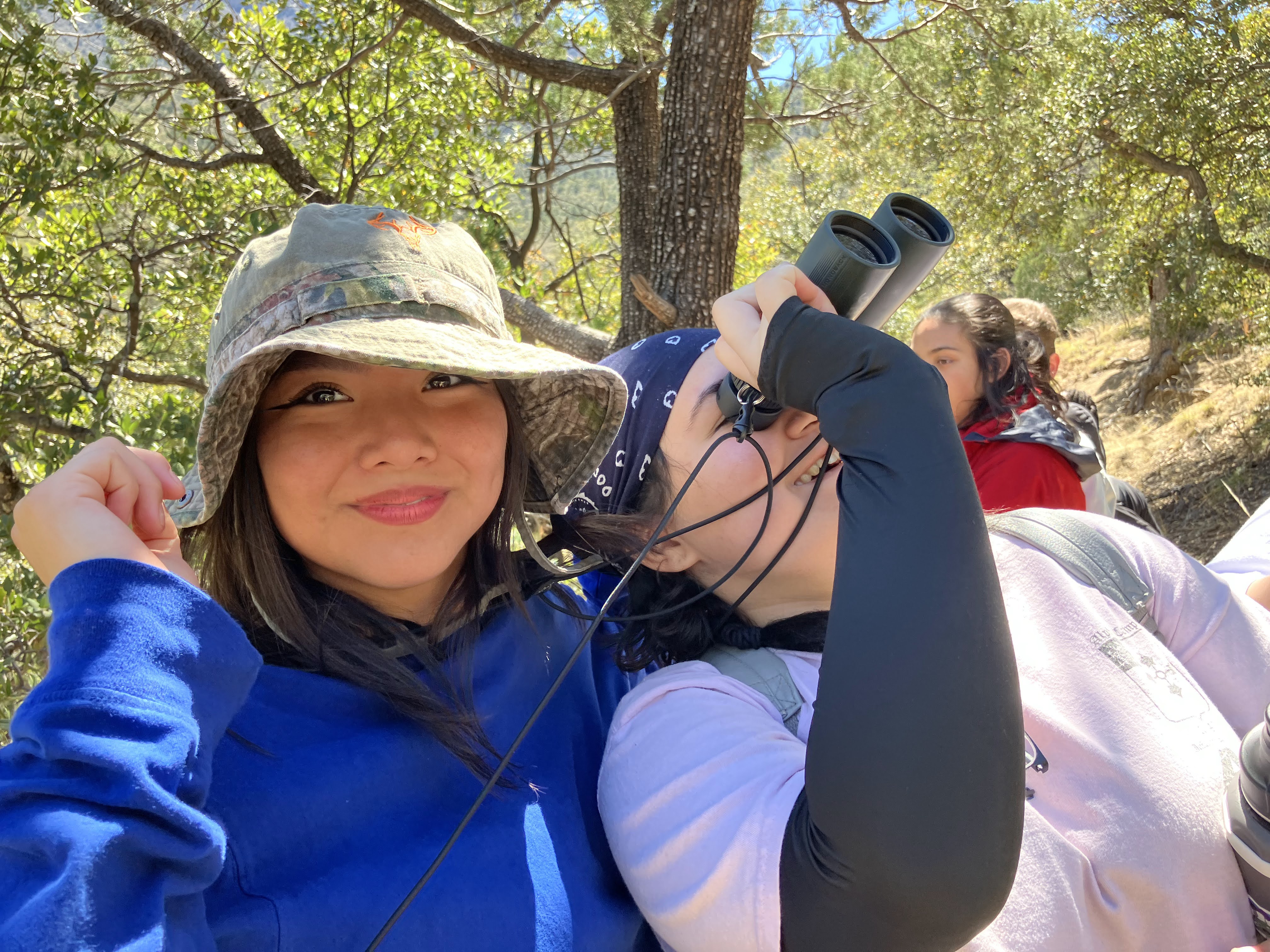 Ironwood Tree Experience